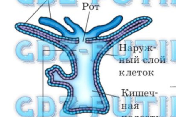 Кракен вход официальный сайт