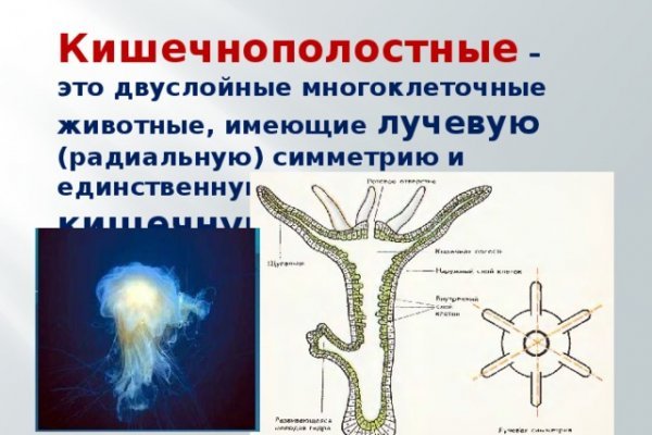 Забыл пароль кракен